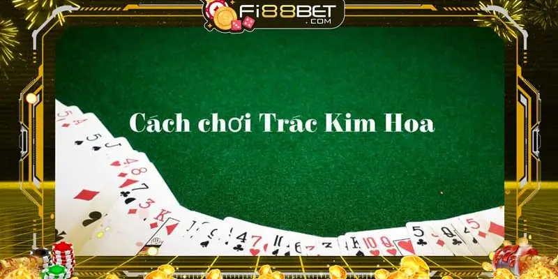 Giới thiệu tổng quan về Trác Kim Hoa tại DR88