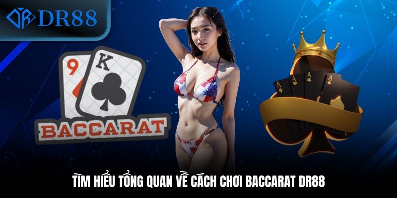 Tìm hiểu tổng quan về cách chơi Baccarat DR88 