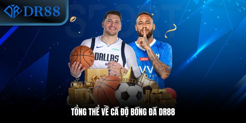 Tổng thể về cá độ bóng đá DR88